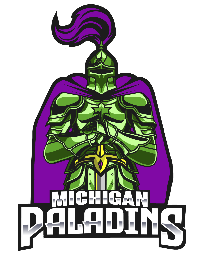 Michigan Paladins esports team logo showcasing bold colors and strong identity
